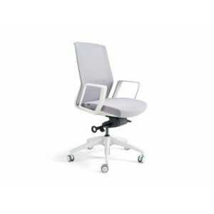 Kancelářská ergonomická židle BESTUHL J17 WHITE — více barev Šedá
