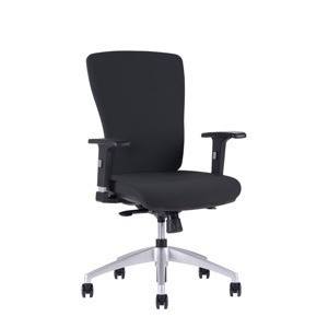 Kancelářská ergonomická židle Office Pro HALIA BP – bez podhlavníku
