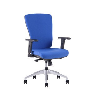 Kancelářská ergonomická židle Office Pro HALIA BP – bez podhlavníku