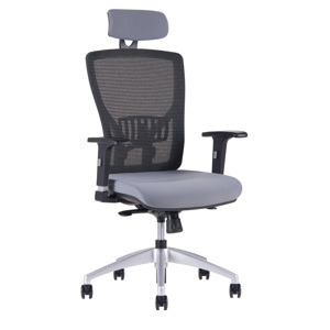 Kancelářská ergonomická židle Office Pro HALIA MESH SP – s podhlavníkem