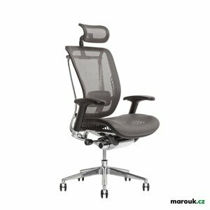 Kancelářská ergonomická židle Office Pro LACERTA — více barev