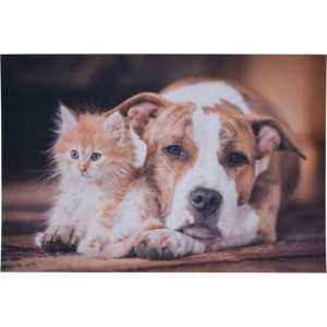 Rohožka Kotě a pes